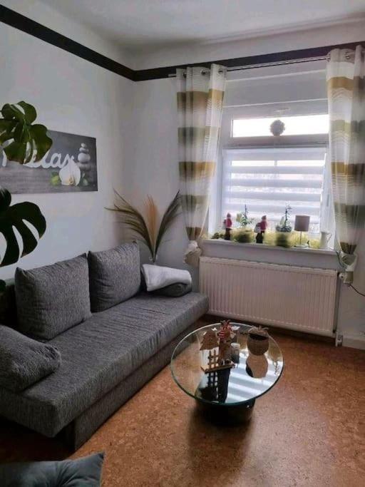 Ferienwohnung *Zur Weinbergstrasse* Lauta ภายนอก รูปภาพ