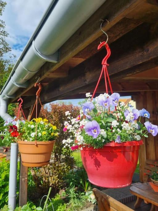 Ferienwohnung *Zur Weinbergstrasse* Lauta ภายนอก รูปภาพ