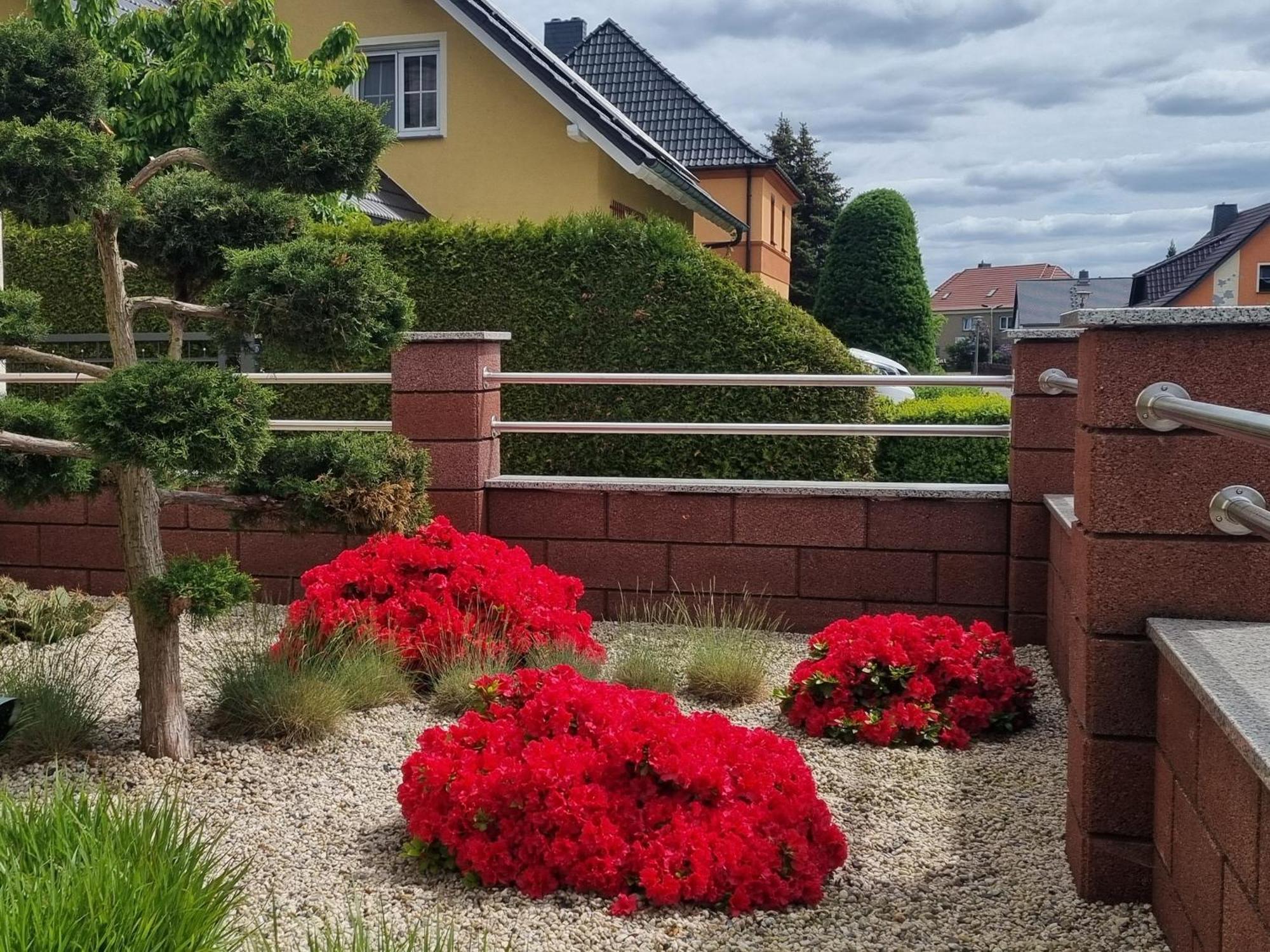 Ferienwohnung *Zur Weinbergstrasse* Lauta ภายนอก รูปภาพ